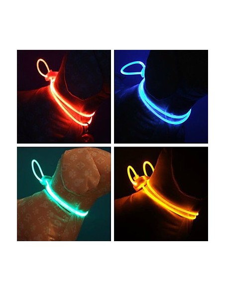 Collier pour chien led lumineux 