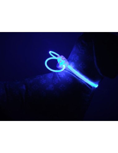 Collier pour chien led bleu lumineux 