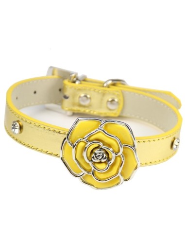 collier or pour chien modèle fleur rosace or