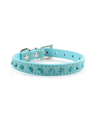 Collier bleu pour chien chic et tendance