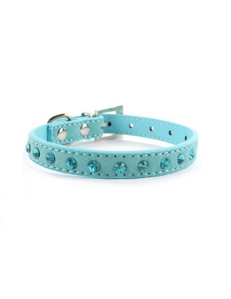 Collier bleu pour chien chic et tendance