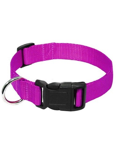 Collier pour chien en nylon violet