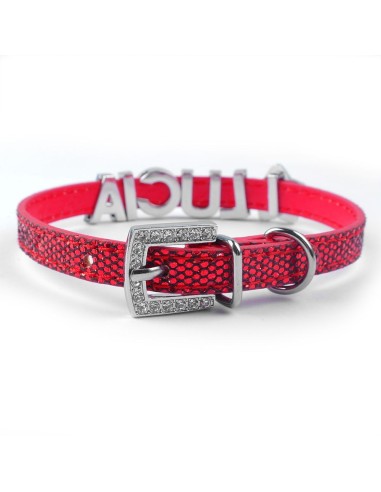 Collier pour chien rouge pailleté à personnalisé avec des lettres