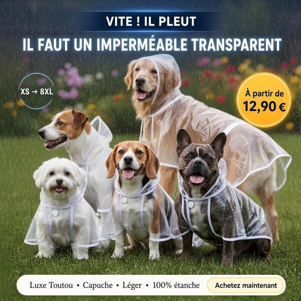 impermeable-chien-pluie