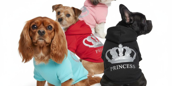 Le Sweat-Shirt pour Chien Polaire : L'Alliance Parfaite du Confort, du Style et de la Chaleur